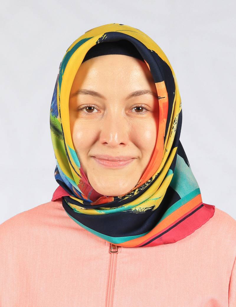 Arş. Gör. Dr. FEYZA DEMİR ÇİÇEK