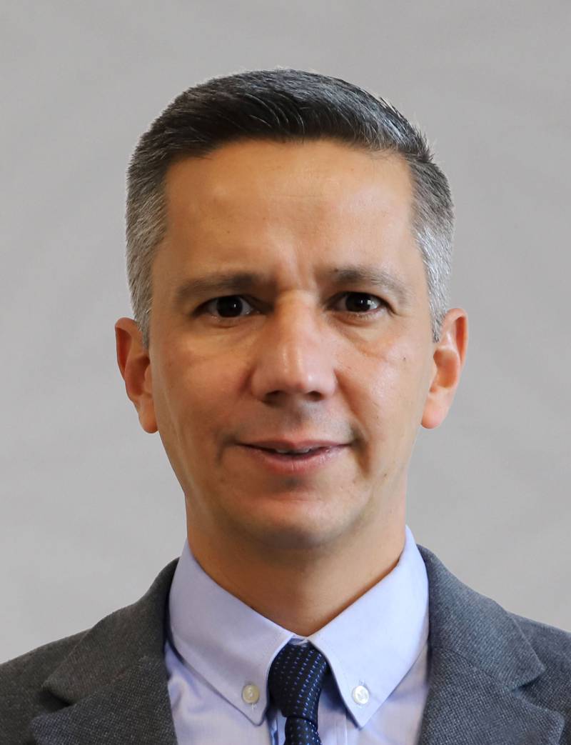 Prof. Dr. MEHMET DEMİREL