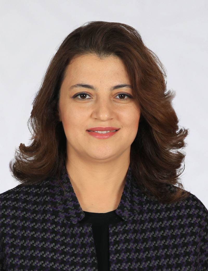 Doç. Dr. ŞERİFE ŞENAY İLİK