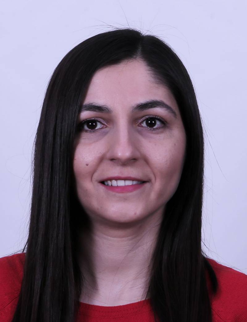 Arş. Gör. Dr. SİNEM ÇINAROĞLU