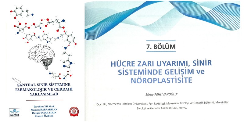 Doç. Dr. Suray PEHLİVANOĞLU’nun Kitabı Yayımlanmıştır