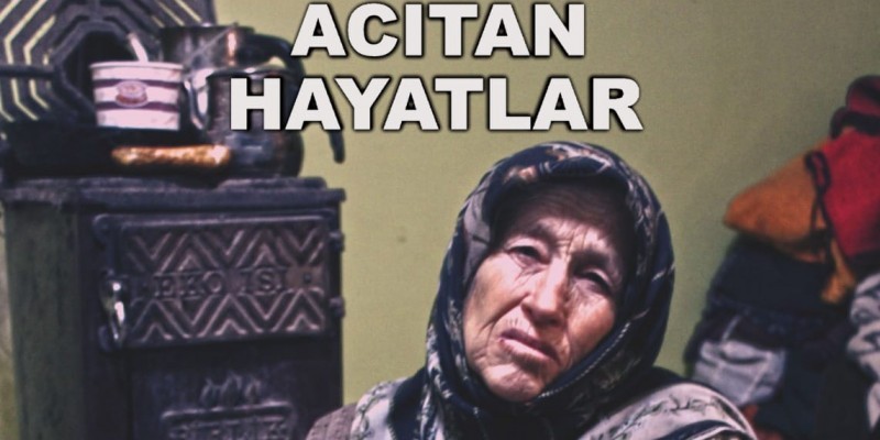 Acıtan Hayatlar ABD'de Ödül Aldı