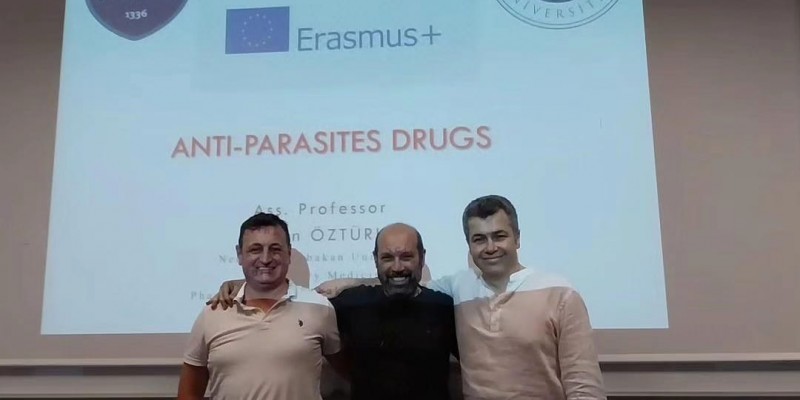 Erasmus Hareketliliği