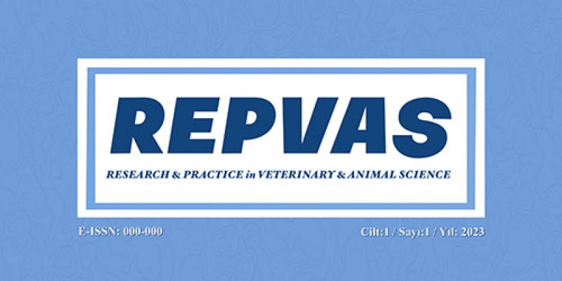 REPVAS