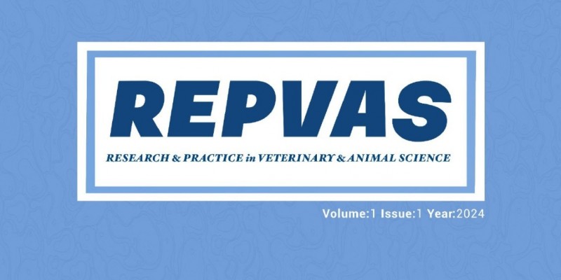 REPVAS İlk Sayısı 