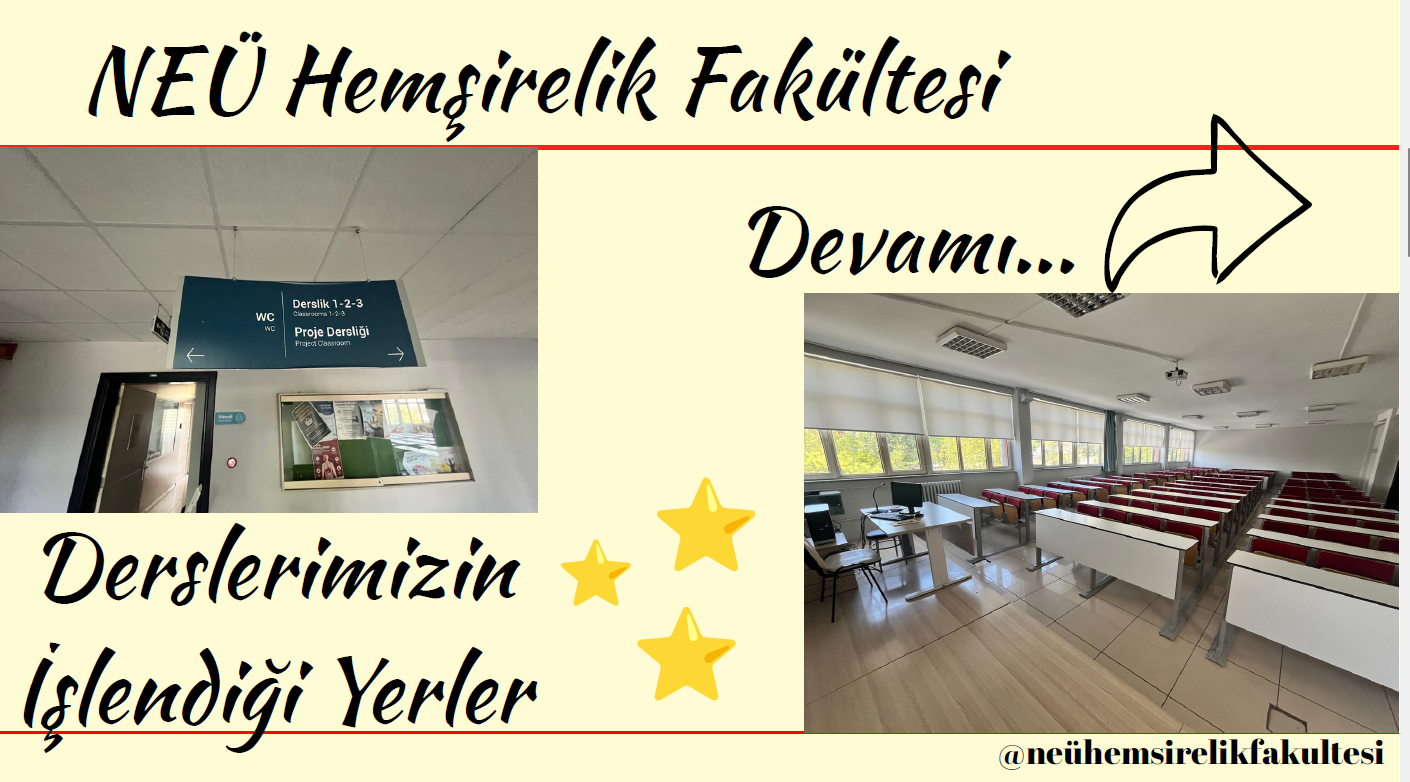 Görsel 3