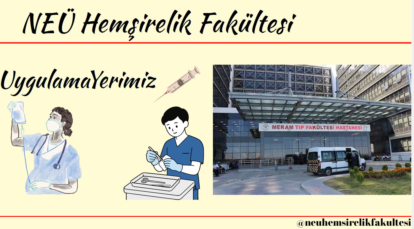 Görsel 7