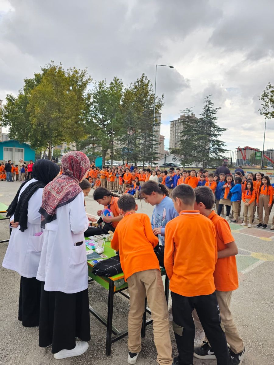 Necmettin Erbakan Üniversitesi