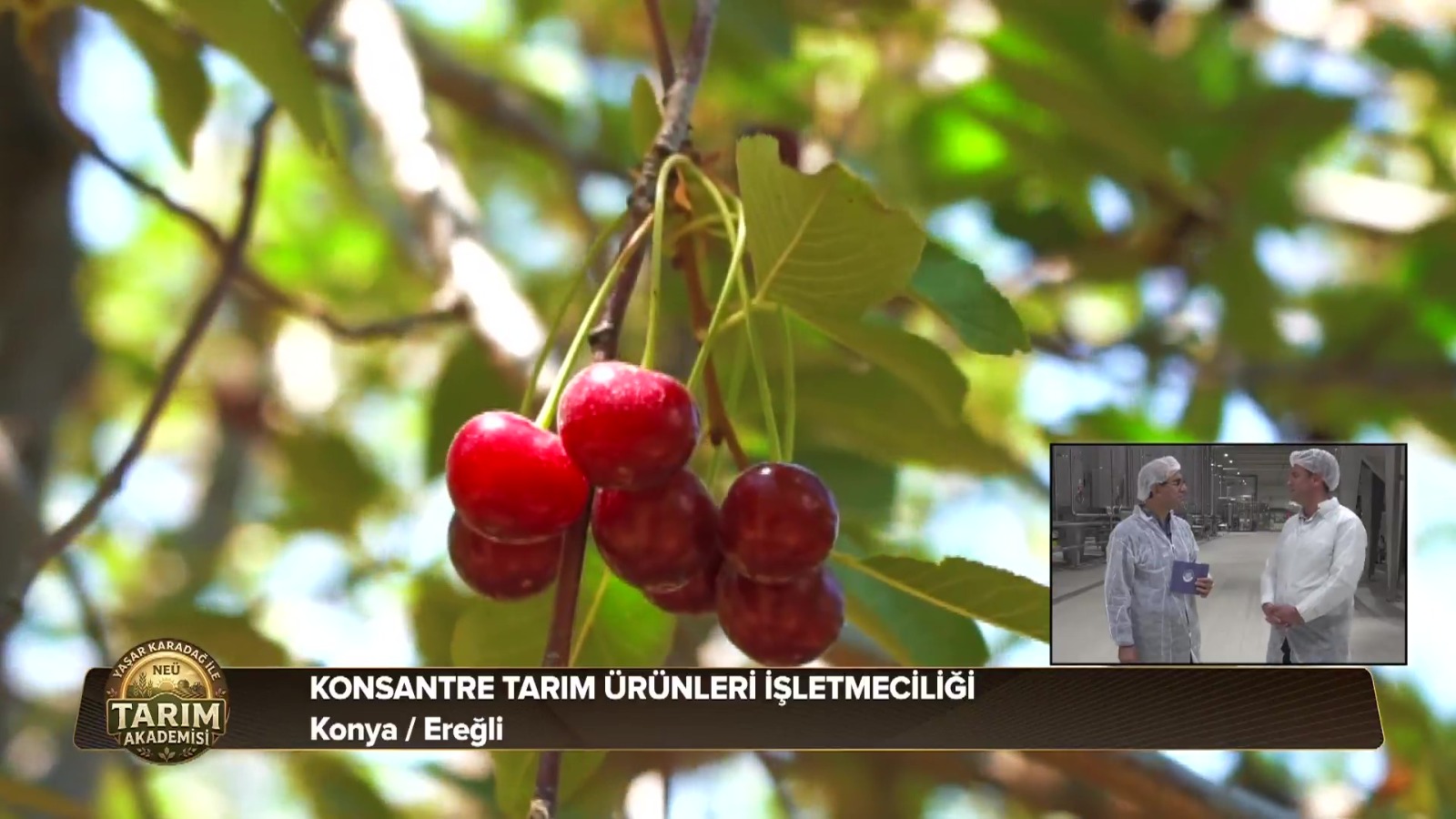 Necmettin Erbakan Üniversitesi