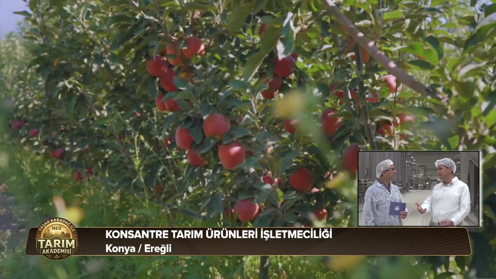 Necmettin Erbakan Üniversitesi