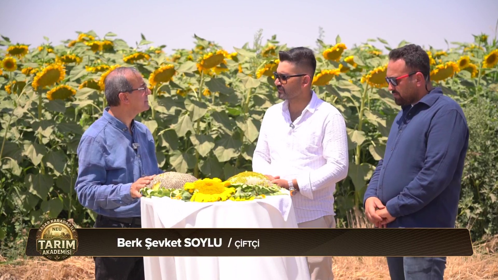 KONTV'de "Yaşar Karadağ ile Tarım Akademisi" Programının Çekimleri Ereğli Yukarıgöndelen Mahallesi'ndeki Çerezlik Ayçiçeği Tarlasında Gerçekleştirildi