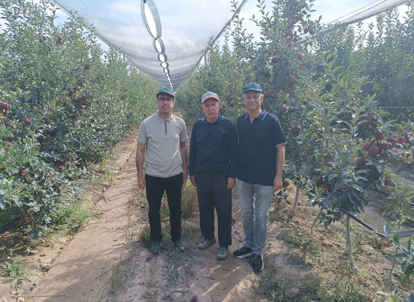 Niğde Bor İlçesi Çukurkuyu Mahallesindeki Elma Üretim Tesisinde İncelemelerde Bulunuldu
