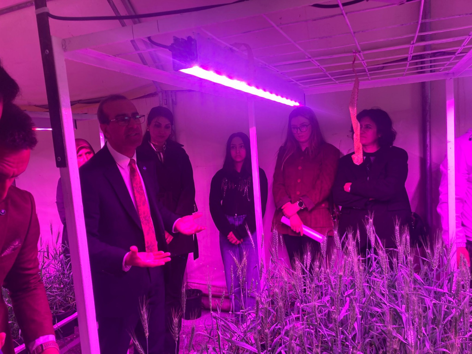 Necmettin Erbakan Üniversitesi