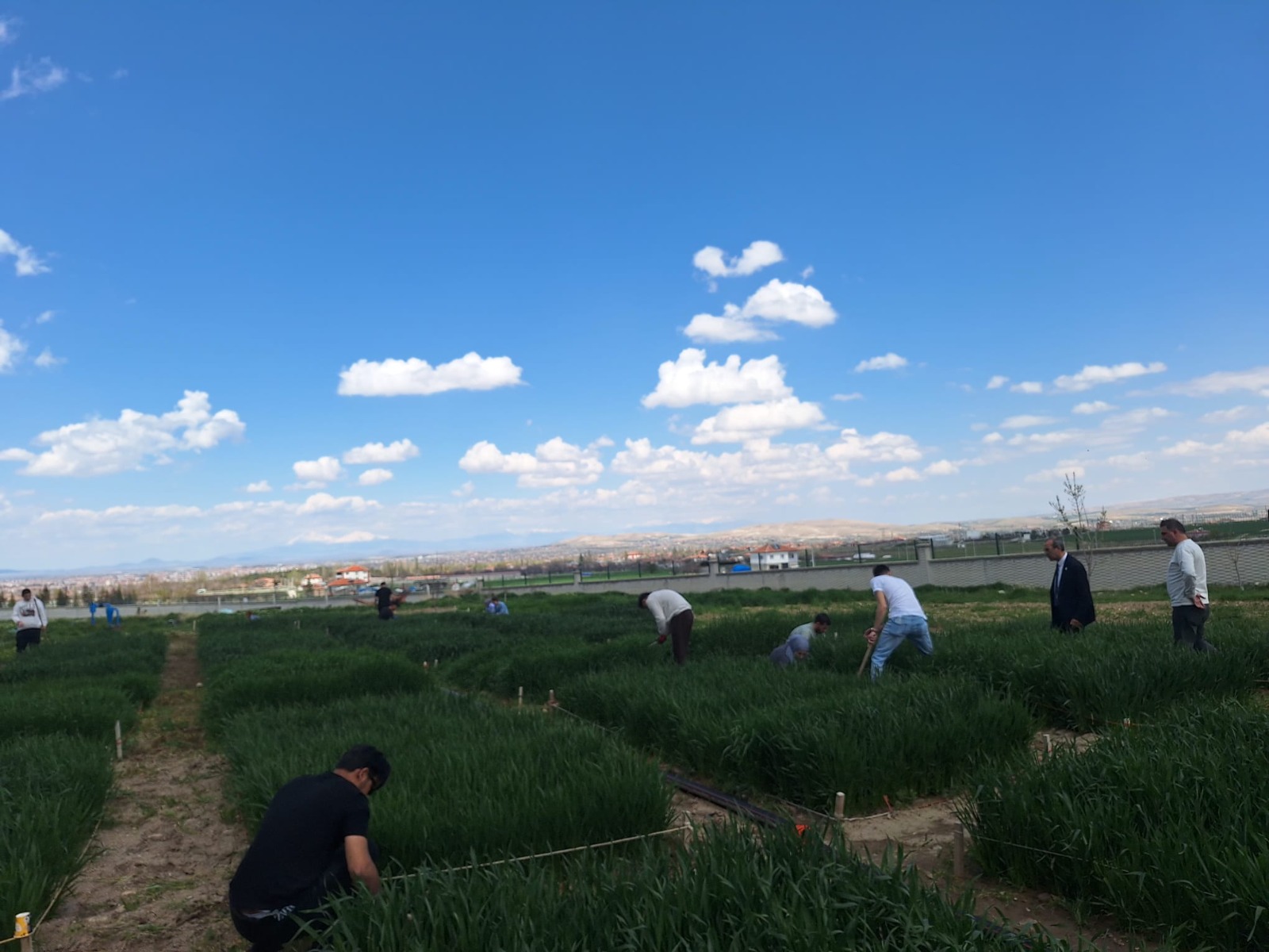 Necmettin Erbakan Üniversitesi