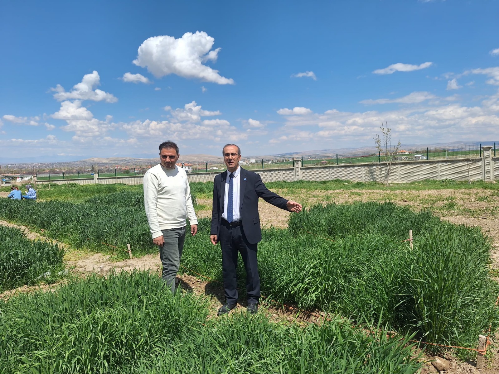 Necmettin Erbakan Üniversitesi