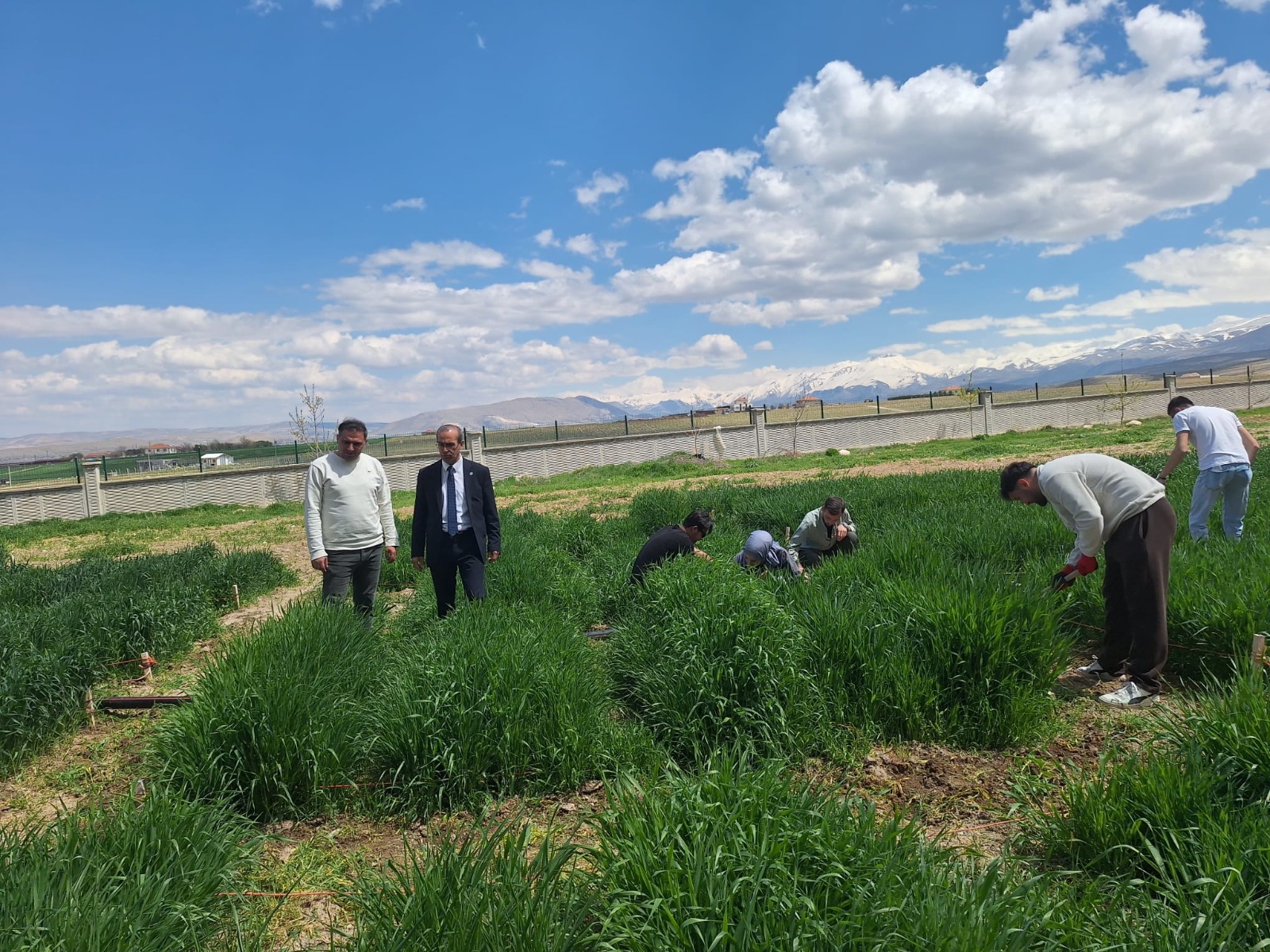 Necmettin Erbakan Üniversitesi