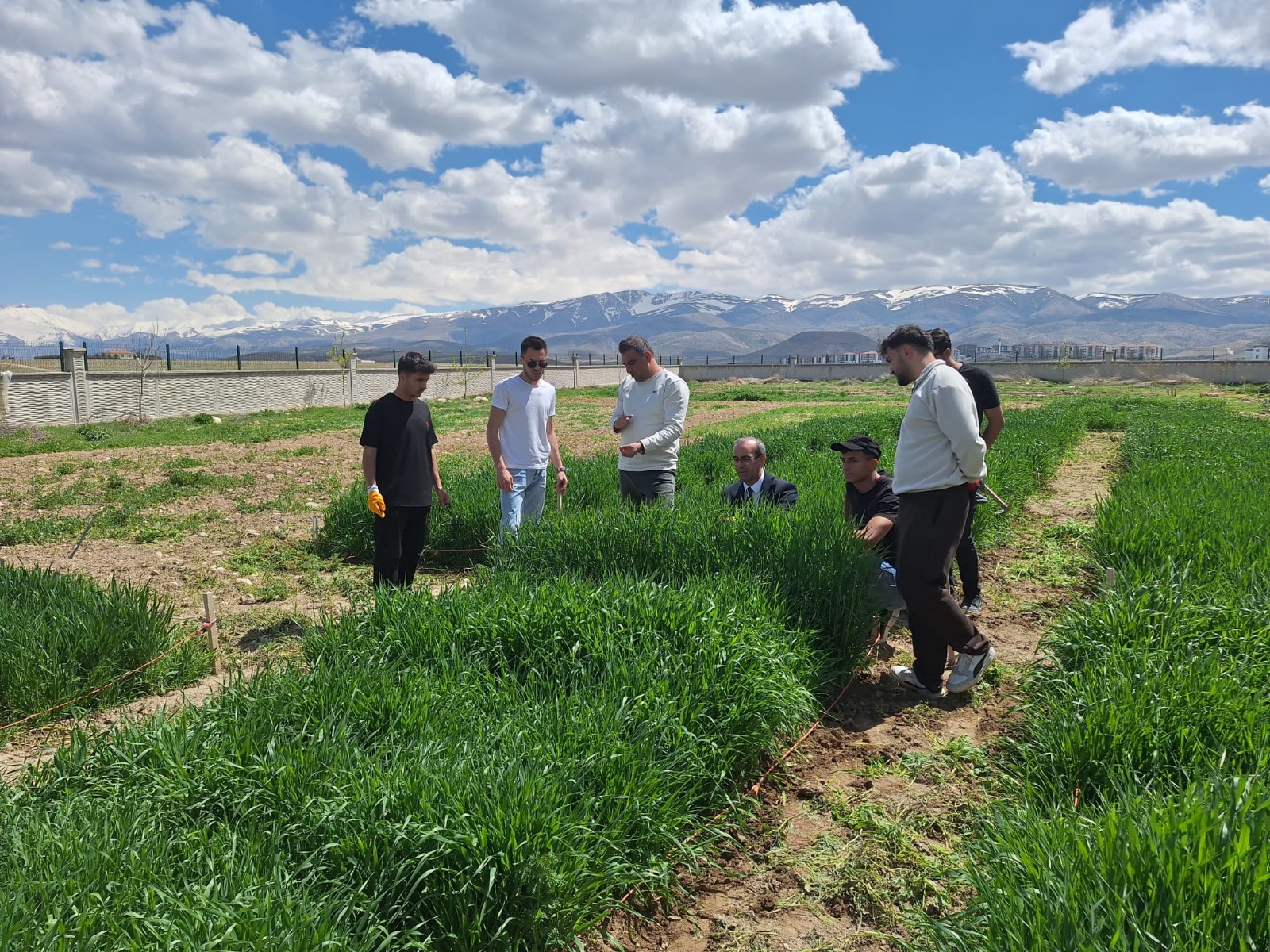 Necmettin Erbakan Üniversitesi
