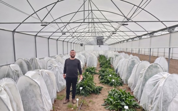 Eskişehir Geçit Kuşağı Tarımsal Araştırma Enstitüsü’nde Ispanak Islah Projesi Kapsamında İnceleme ve Örnekleme Çalışmaları Gerçekleştirildi