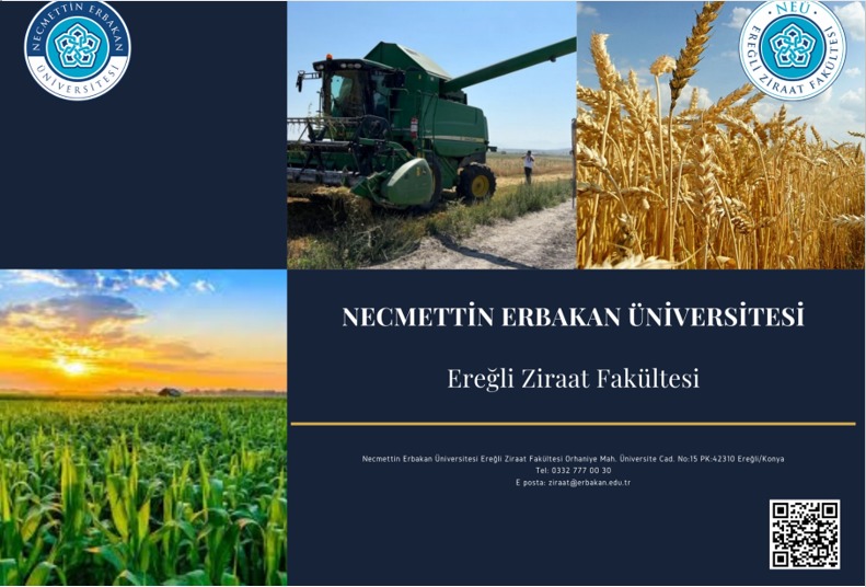 Necmettin Erbakan Üniversitesi