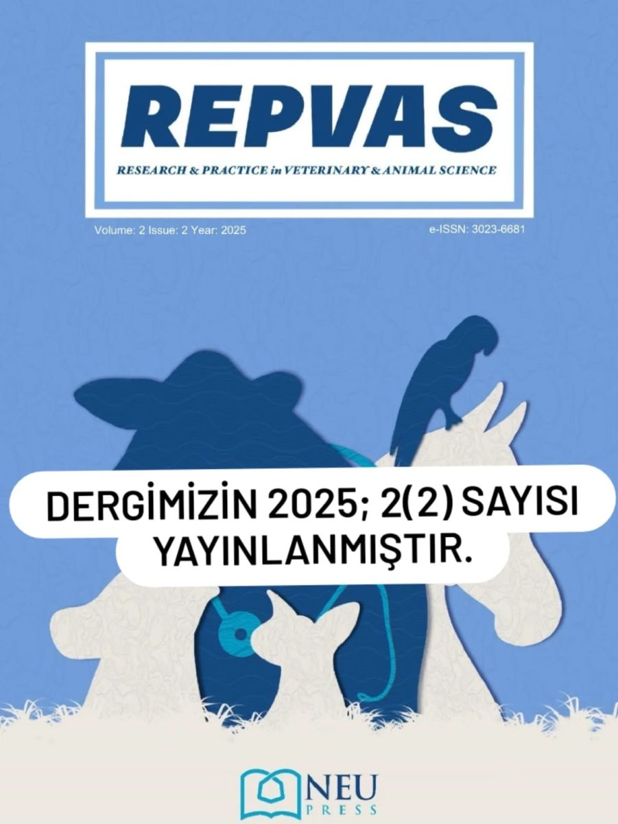 Fakültemiz Dergisi REPVAS'ın Yeni Sayısı Yayınlandı
