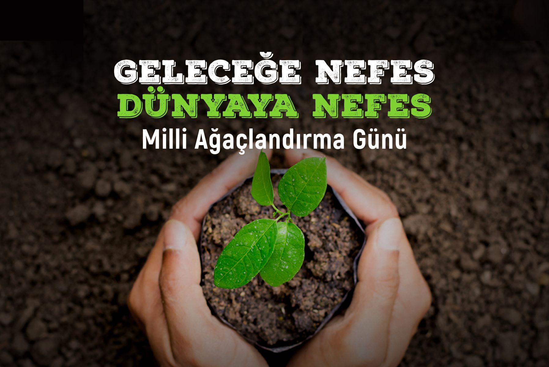 Geleceğe Nefes Dünyaya Nefes Milli Ağaçlandırma Günü