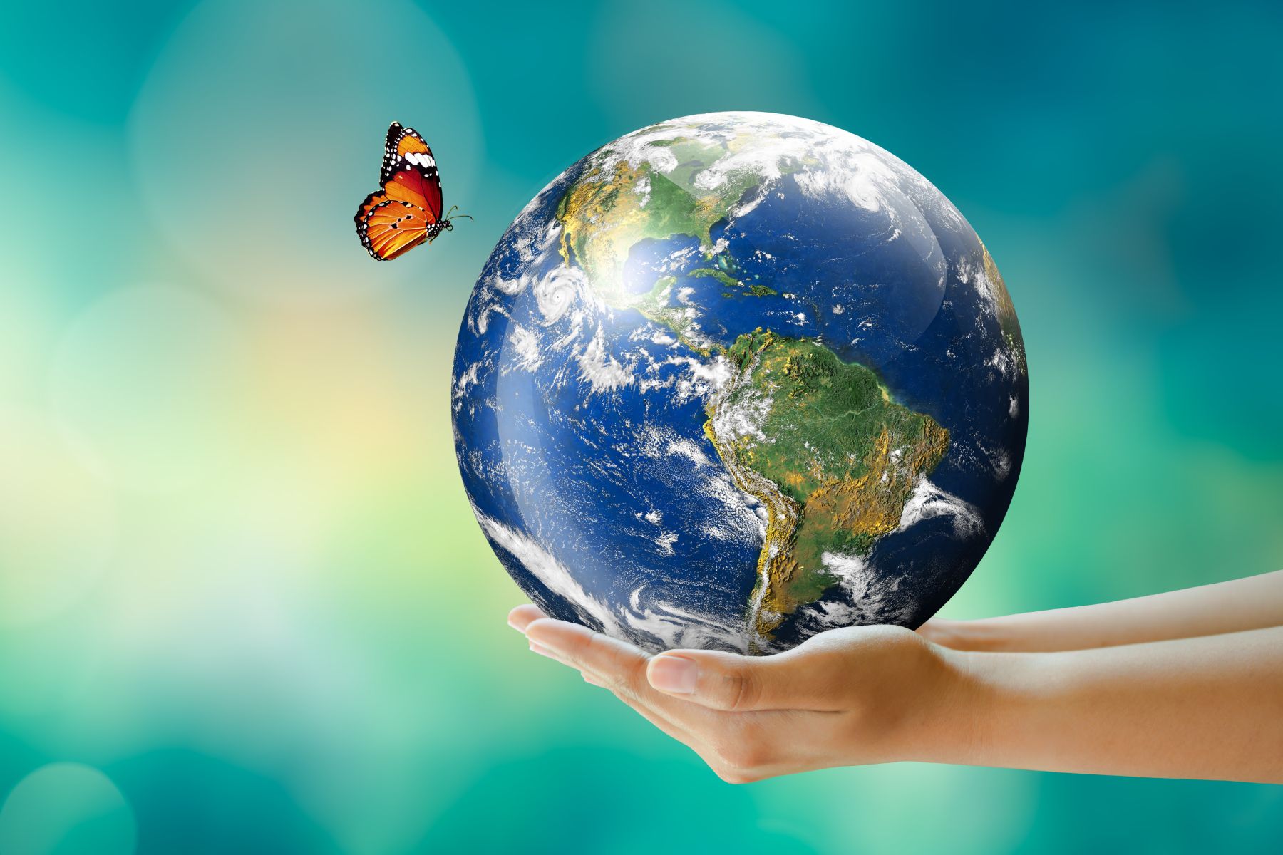 Yeşil ve Mavi Bir Dünya için Atmak Yok Katmak Var