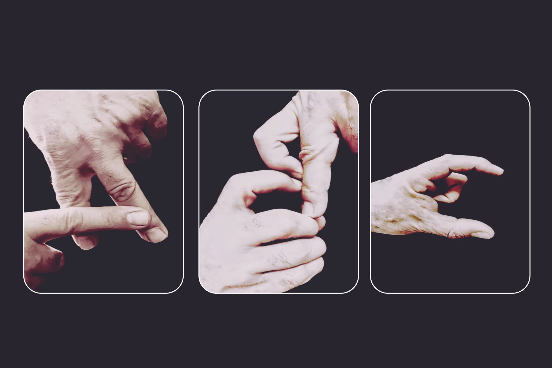 Türk İşaret Dili Öğreticiliği ve Tercümanlığı