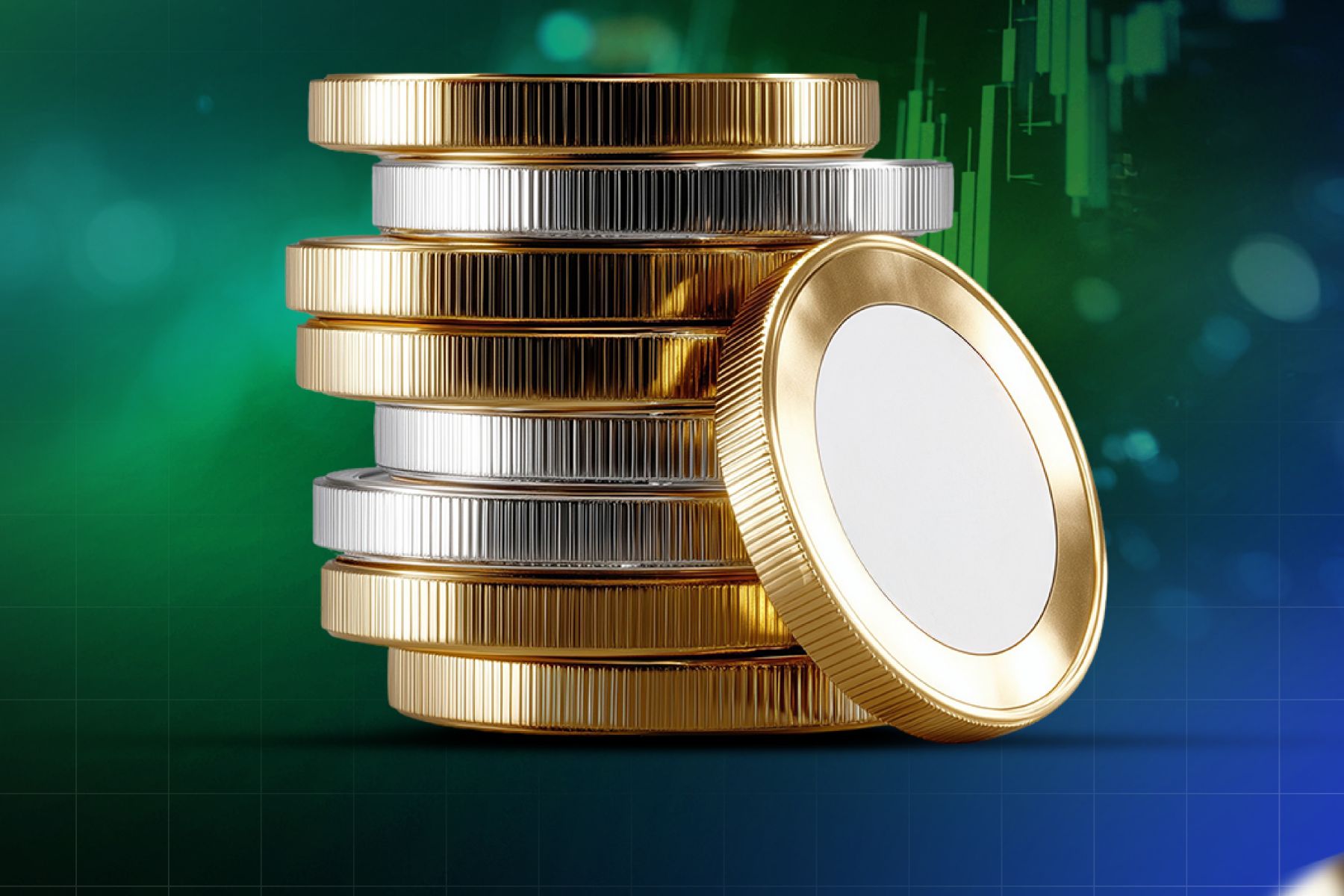 Finansal Okur Yazarlık Eğitimi