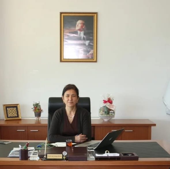 Meslek Yüksekokulu Müdürlüğüne Atama