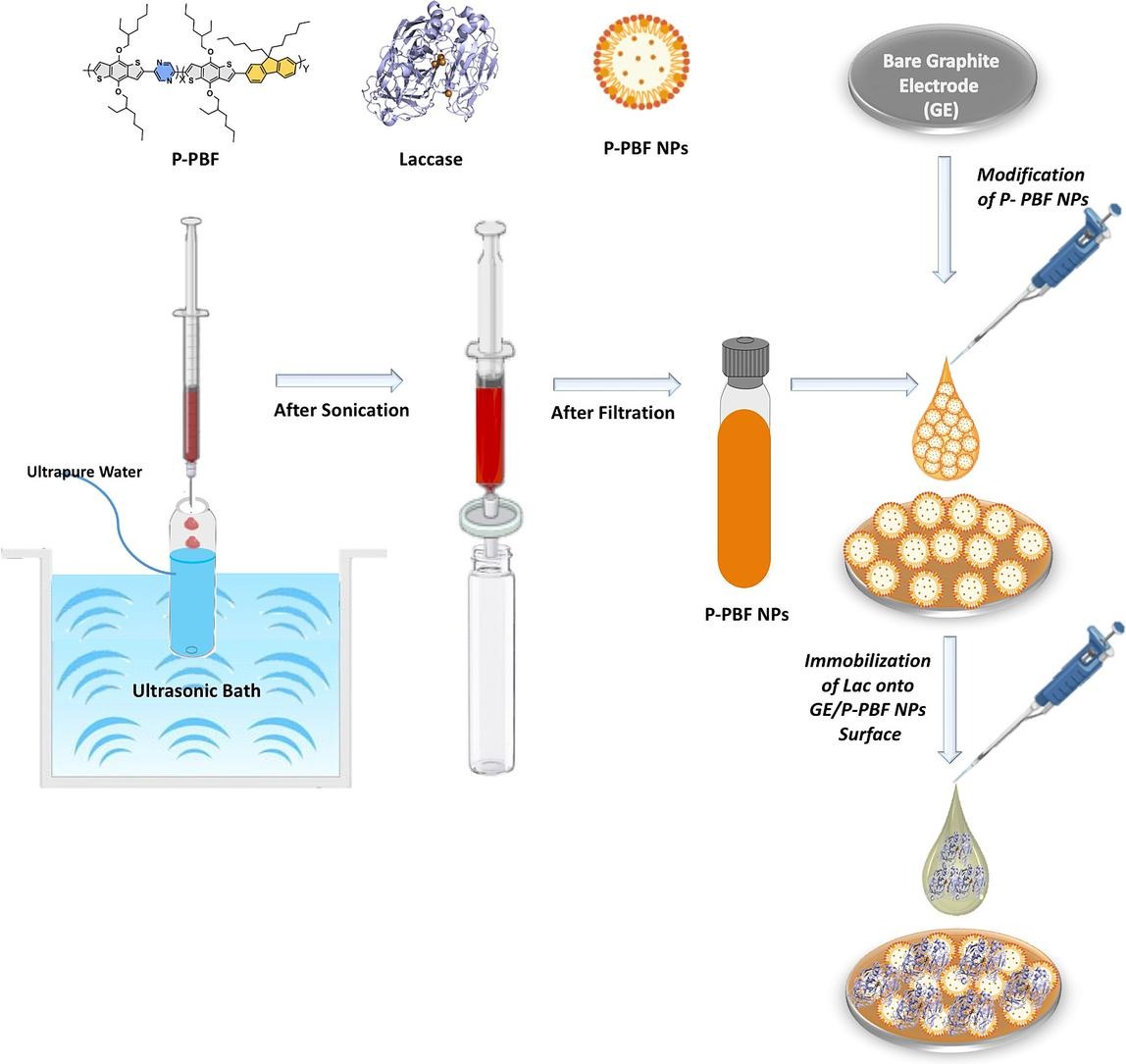 Synthesis and nanoparticle formation of pyrazine, benzodithiophene (BDT) and fluorene containing conjugated polymer (P-PBF) and its biosensing performance toward catechol