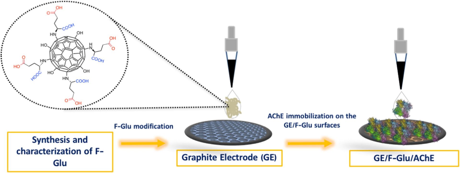 Synthesis and design of functional fullerenol-based electrochemical nanobiosensor to examine the inhibition effects of anti-Alzheimer drug active pyridostigmine on acetylcholinesterase
