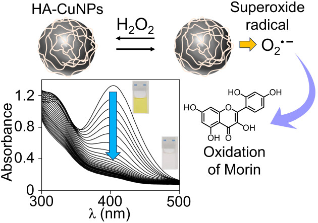 Biocompatible Hyaluronic Acid-Stabilized Copper Nanoparticles for the Selective Oxidation of Morin Dye by H2O2