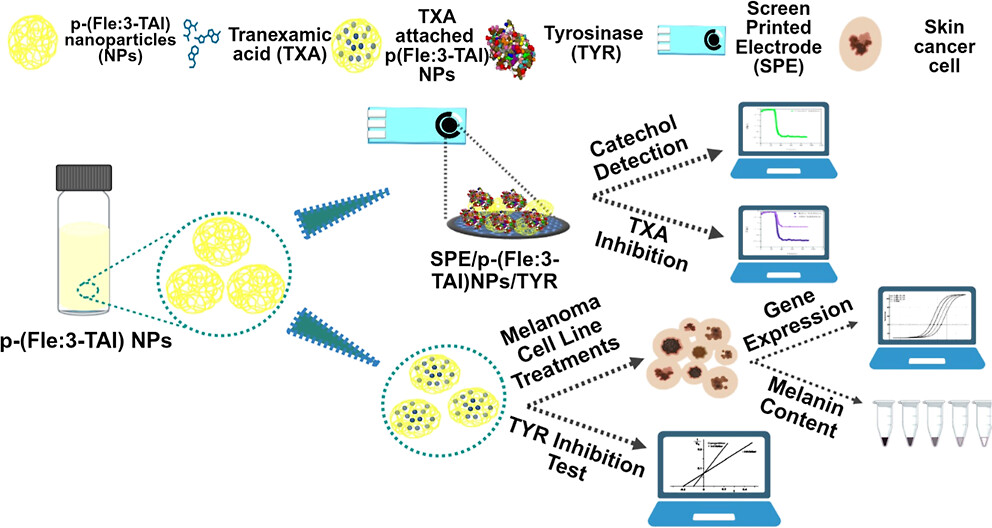 Advancement of Self-Reporting Polymer Nanoparticles for Melanoma Therapy and Biosensing