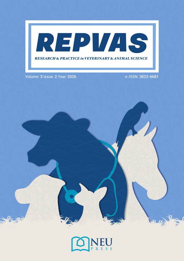 Fakültemiz Dergisi REPVAS'ın Yeni Sayısı Yayınlandı
