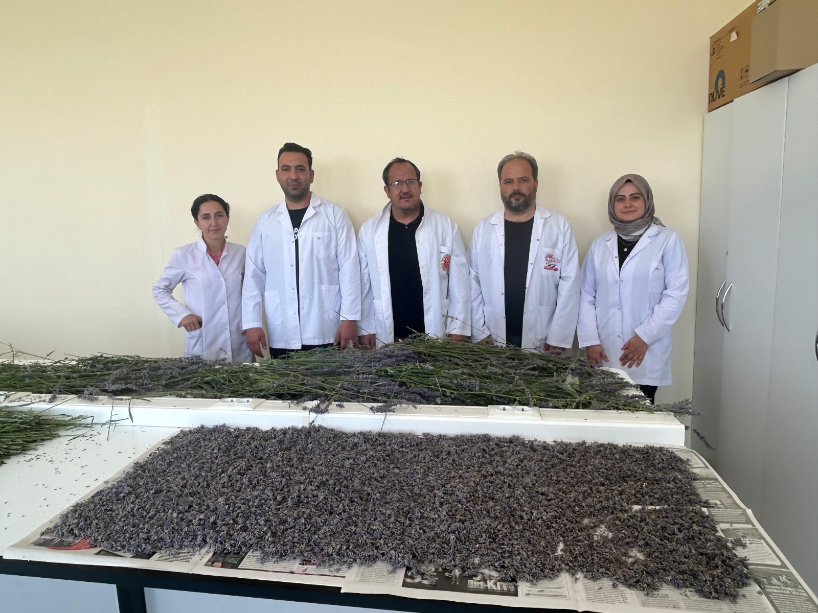 Fakültemizde Tıbbi Aromatik Bitkilerin İşleme ve Araştırma Çalışmaları