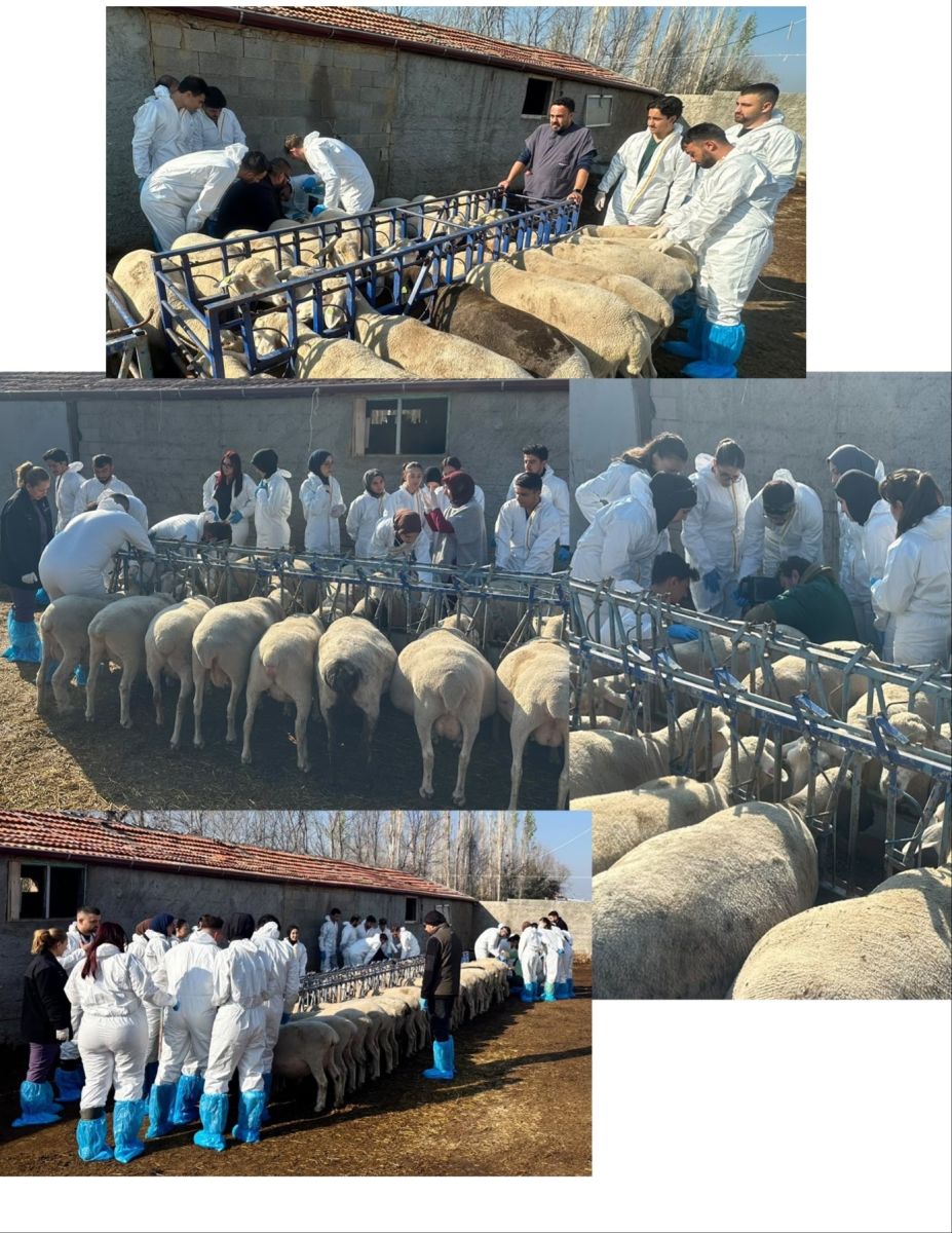 Teknik Ziyaret
