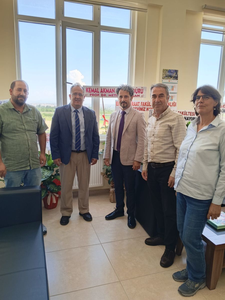 Tebrik Ziyareti