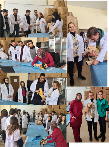 Köpeklerde Zapt-ı Rapt Eğitimi