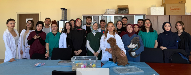 Kedi, Köpek ve Hemsterlarda Genel Muayene Yöntemleri