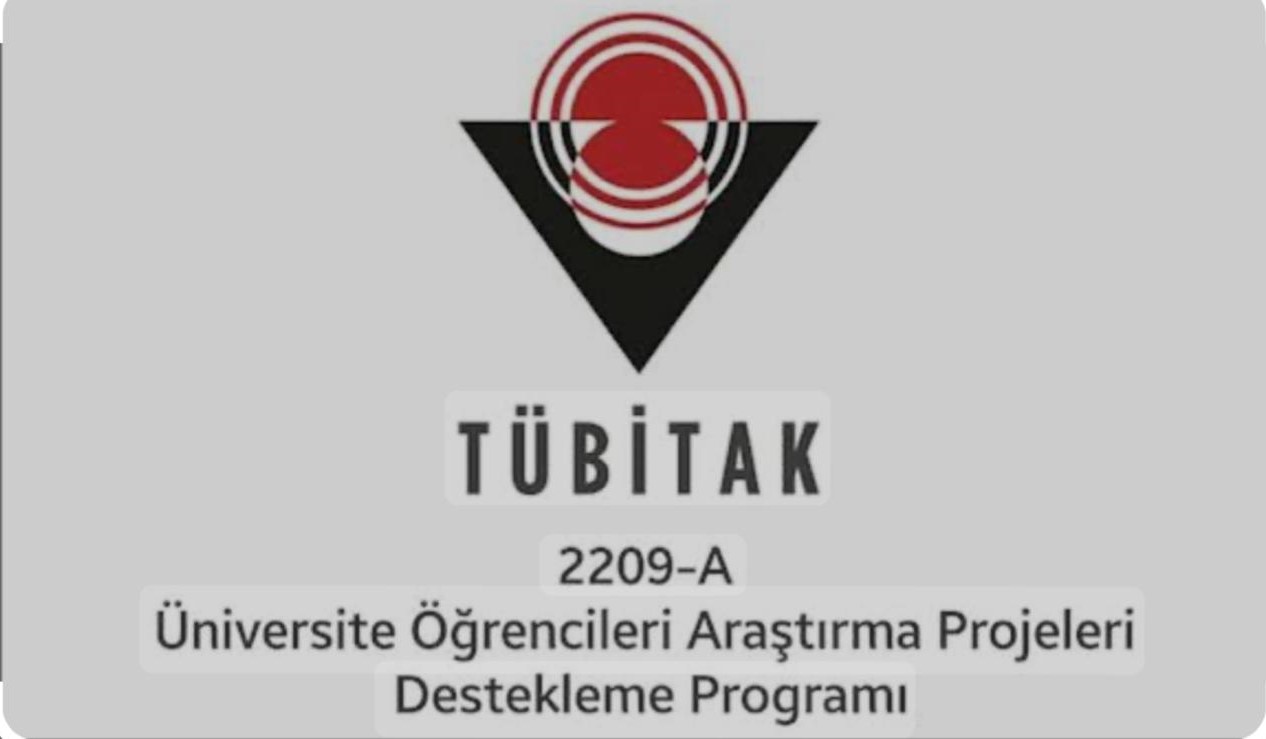 TÜBİTAK 2209-A