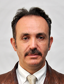 Dr. Öğr. Üyesi ALİ SERDAR ECEMİŞ