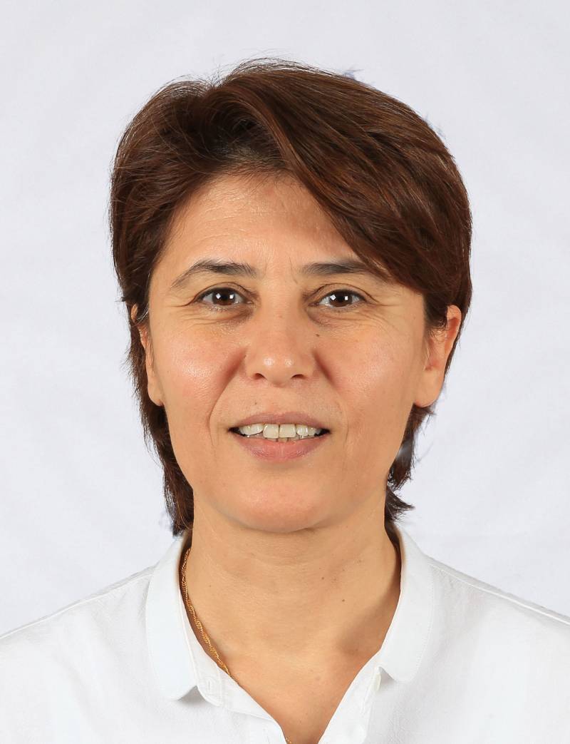 Dr. Öğr. Üyesi  AYNUR GÜLENÇ BİRSEN