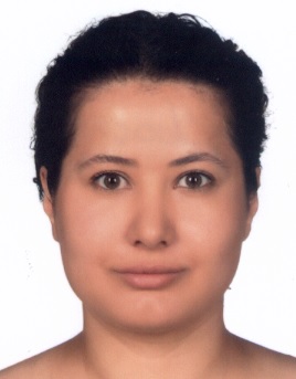 Arş. Gör.  AYŞE AKKOCA