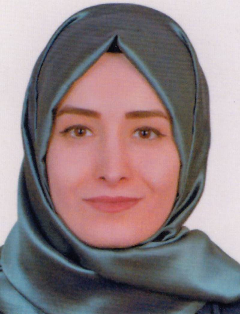 Arş. Gör. AYŞE GÖKMEN