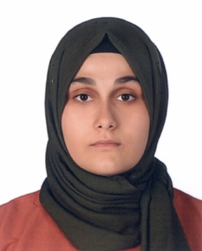 Dr. Öğr. Üyesi  AYŞE SARI