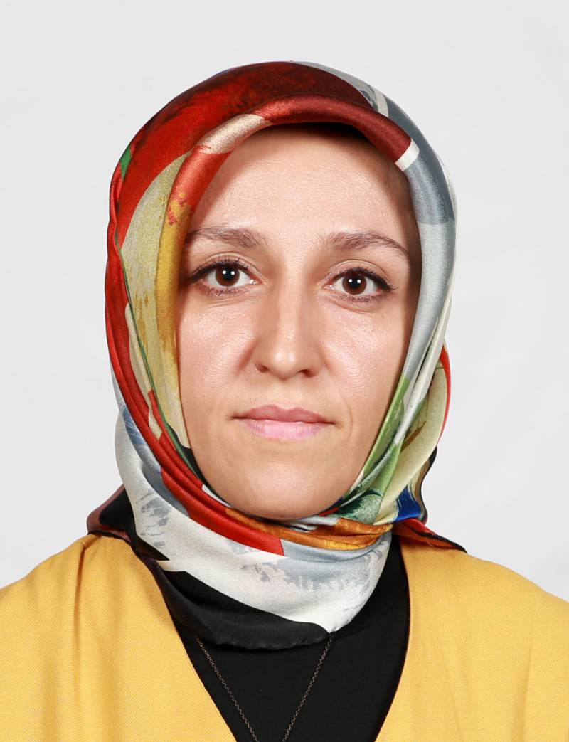 Öğr. Gör. Dr. AYŞE UÇAR
