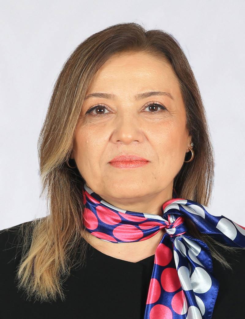 Dr. Öğr. Üyesi  AYSUN AYNUR YILMAZ