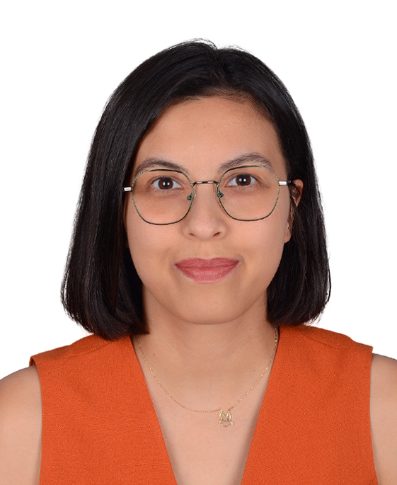 Dr. Öğr. Üyesi  AYYÜCE TUBA KOÇAK