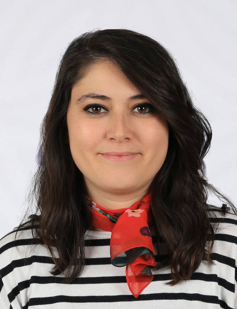 Dr. Öğr. Üyesi  BERNA MADALI KAFES