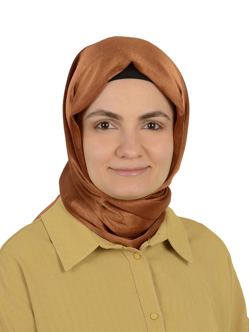 Dr. Öğr. Üyesi  BETÜL DİGİLLİ AYAŞ